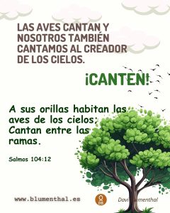 canten blumenthal