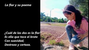 LA FLOR Y SU POEMA