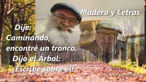 MADERA Y LETRAS