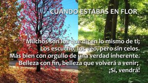 CUANDO ESTABAS EN FLOR